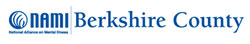 logo nami berkshire county ma