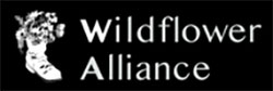 logo the wildflower alliance